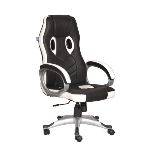Director Chair
